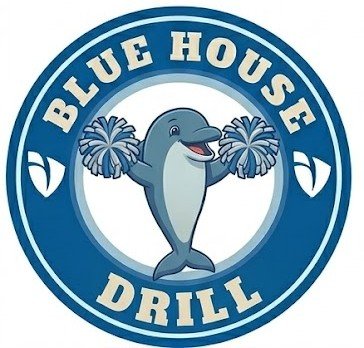 logo whatsapp dolphins drill
