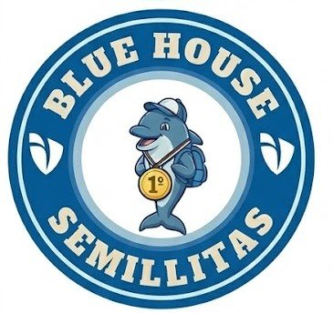 logo whatsapp dolphins semillitas